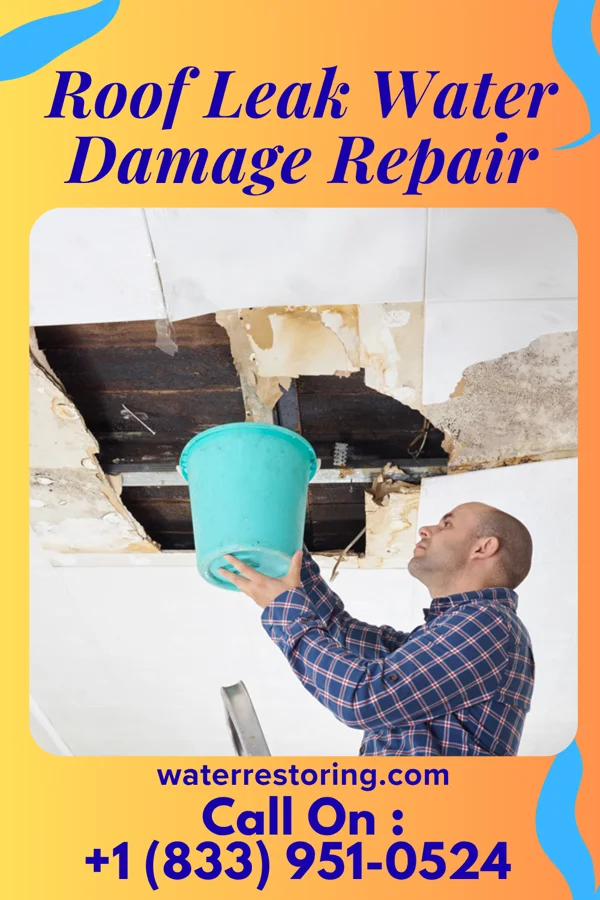 Roof Leak Water Damage Repair in Mountain, ND